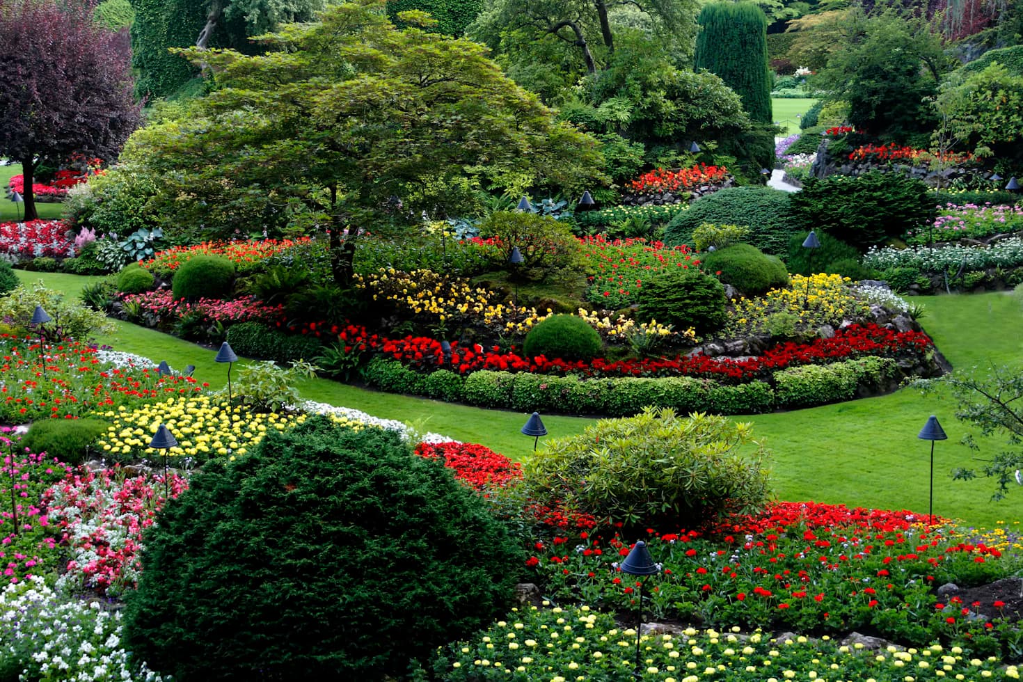 Turf & Landscaping