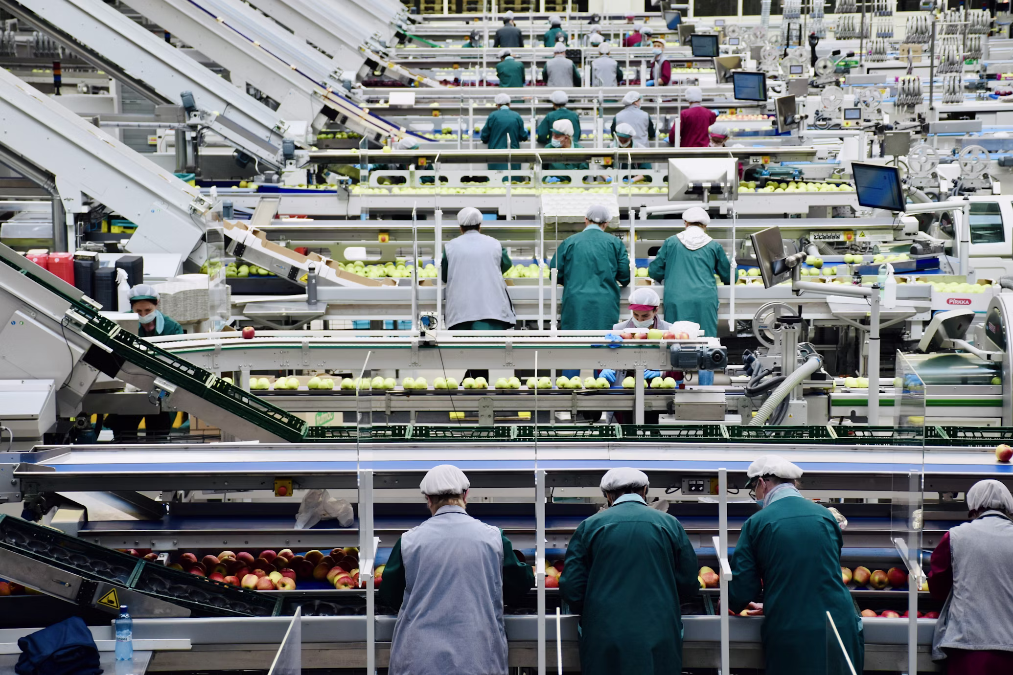 Food & Beverage Processing